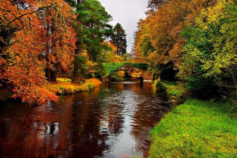 Trailløb Irland