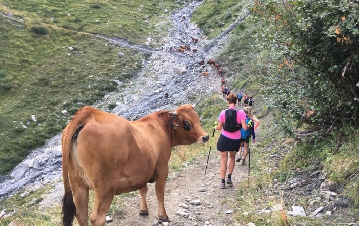 Fra turen rundt om Mt. Blanc 2019