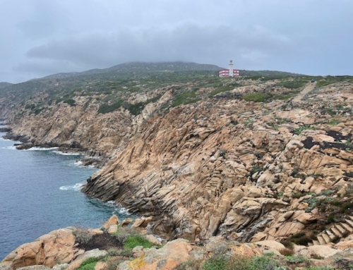 Toscana Isola del Giglio – løb og hiking