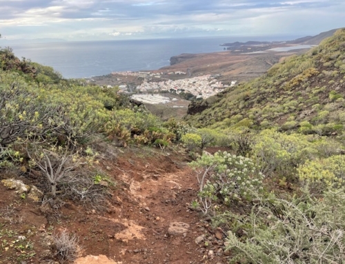 Løberejser på Gran Canaria langs GR 131- Coast to coast – start i nord sætte fødderne i vandet i syd