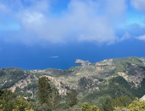 Løberejser er i denne uge på Mallorca og løber langs Tramuntana ruten GR 221 (Limstensruten)